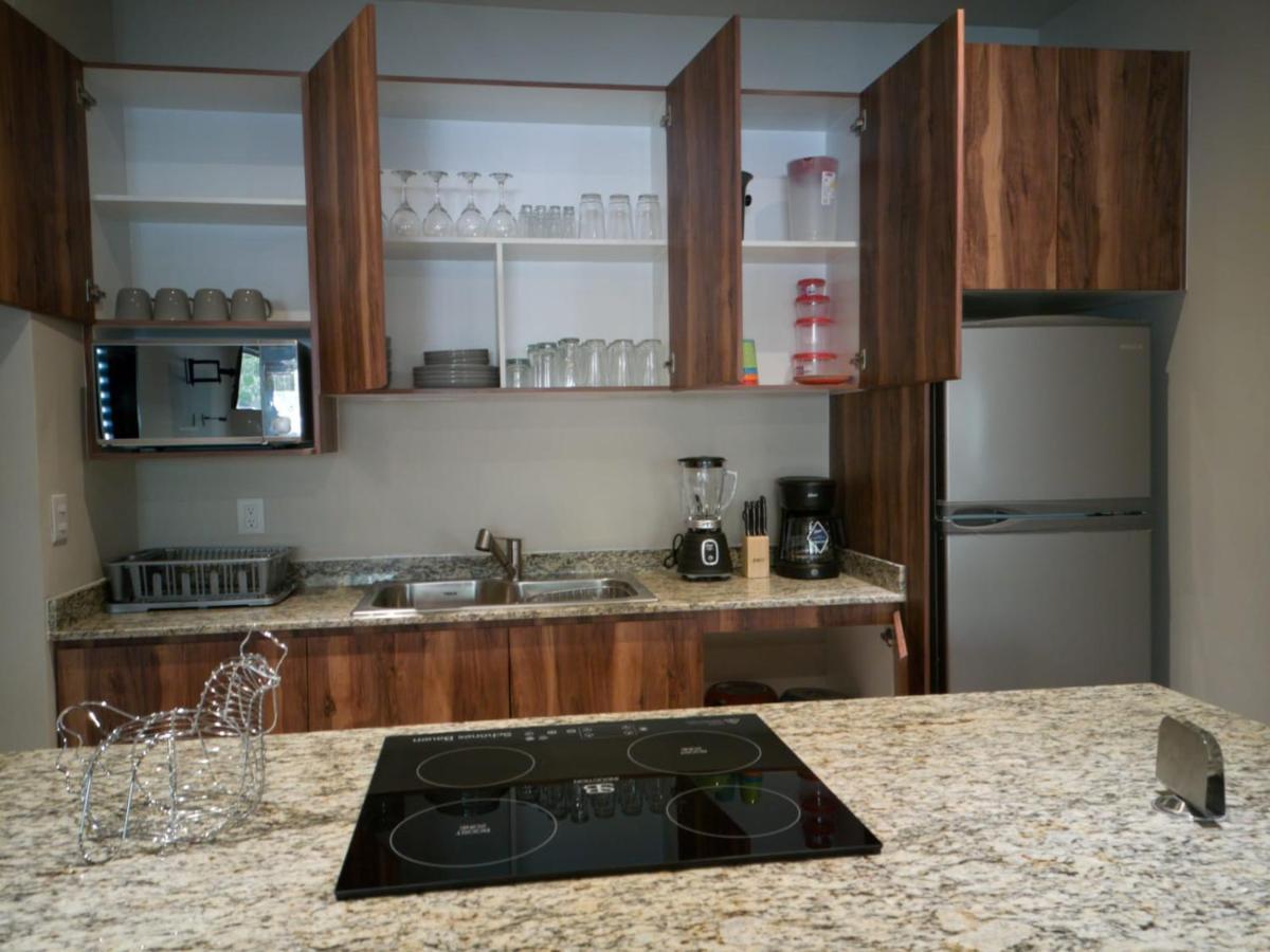 Apartamento Departamento Selvanova Coto 8 Playa Del Carmen